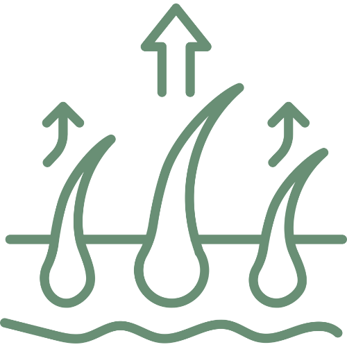 Untitled design - 2025-12-08T145351.786